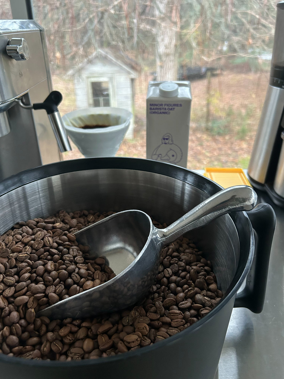 Freshly roasted coffee beans and a metal scoop in a stainless steel bin